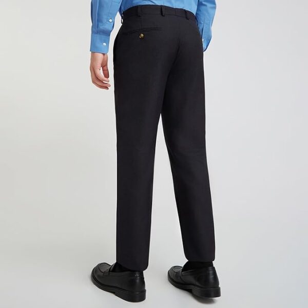 Park Avenue Men's Regular Fit Mid Rise Stripe Pattern Poly Viscose Blend Flat Front Formal Trouser